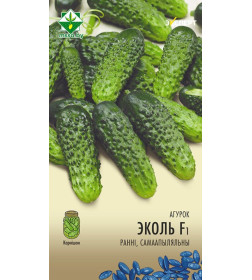 Огурец Эколь F1 10шт семена (Эксперт)
