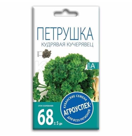 Петрушка КУЧЕРЯВЕЦ кудрявая *2 г семена