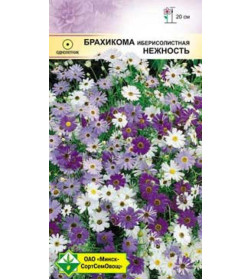 Брахикома иберисолистная Нежность 0.2г