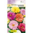Портулак крупноцв Махровая см 0.15г