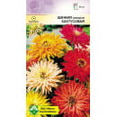 Цинния изящная Кактусовая см 0.5г