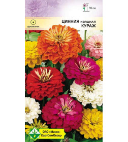 Цинния изящная Кураж см 0.3г
