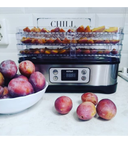 Сушилка для овощей и фруктов Kitfort KT-1903