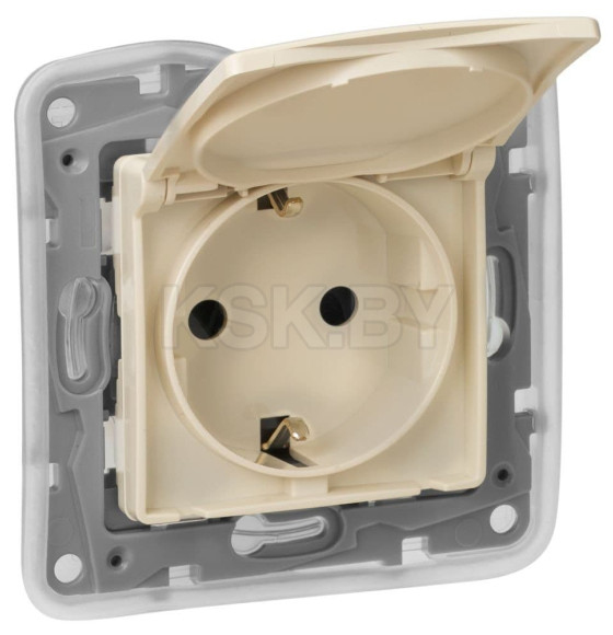 Розетка 1-я со шторками и с з/к IP44 сл. кость Etika Legrand (672326) 
