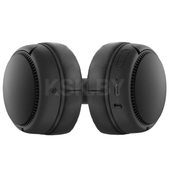 Наушники Panasonic RB-M300BGE-K с усиленным басом (RB-M300BGE-K) 