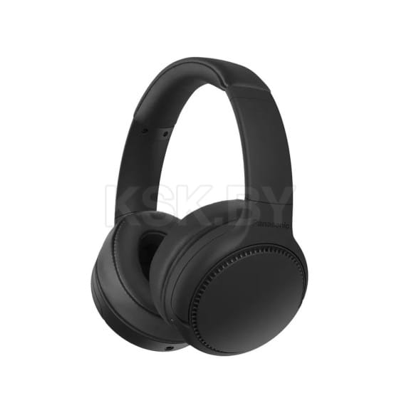 Наушники Panasonic RB-M300BGE-K с усиленным басом (RB-M300BGE-K) 