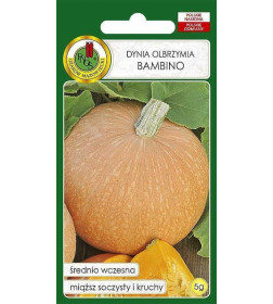 Тыква Бамбино гигантская 5г. (семена) "PNOS"