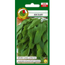 Щавель Белвильский 3г.  "PNOS" (семена)