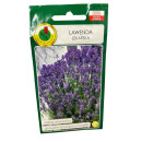 Лаванда лекарственная 0,2г.  "PNOS" (семена)