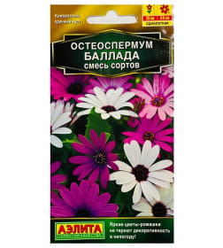 Остеоспермум Баллада, смесь семена