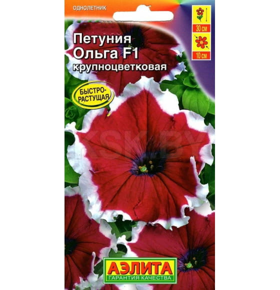 Петуния Ольга F1  семена