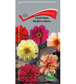 Георгина Мефистофель (ЦВ) 0,2г
