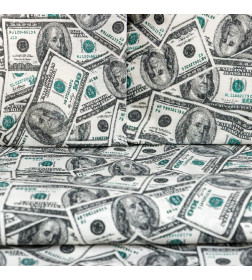 Постельное бельё «Этель» 2 сп. Cash 175х215 см, 200х220 см, 70х70 см -2 шт, бязь 125 г/м2
