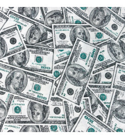 Постельное бельё «Этель» 2 сп. Cash 175х215 см, 200х220 см, 70х70 см -2 шт, бязь 125 г/м2