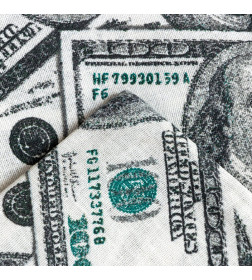 Постельное бельё «Этель» 2 сп. Cash 175х215 см, 200х220 см, 70х70 см -2 шт, бязь 125 г/м2
