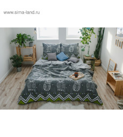 Постельное бельё "Этель" 1.5 сп Ушастые совы (вид 1) 143 х 215 см,150 х 214 см, 70 х 70 - 2 шт