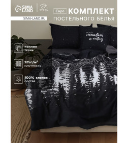 Комплект постельного белья Этель Евро Полярная ночь 200×217 см, 220×240 см, 50×70 см - 2 шт., поплин 125 г/м², хлопок 100%