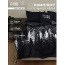 Комплект постельного белья Этель 1.5 сп Полярная ночь 143×215 см,150×214 см, 50×70 см -2 шт., поплин 125 г/м², хлопок 100% (10706908) 