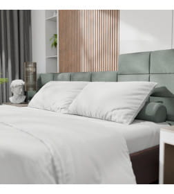 Постельное бельё Этель 1,5сп Tencel 155*210см, 160*245см, 50*70см-2шт, цвет белый