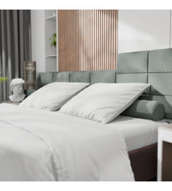 Постельное бельё Этель 1,5сп Tencel 155*210см, 160*245см, 50*70см-2шт, цвет белый