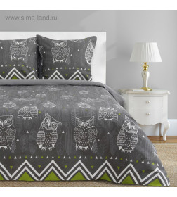 Постельное бельё "Этель" 2 сп Ушастые совы (вид 1) 175 х 215 см, 200 х 220 см, 70 х 70 - 2 шт
