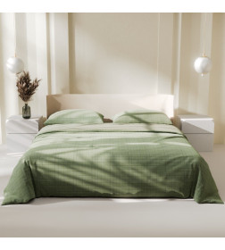 Постельное бельё Этель дуэт Green cage 150х215см-2 шт, 225х240см, 50х70±3 см-2 шт, новосатин