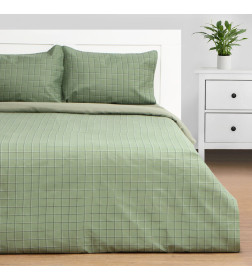 Постельное бельё Этель дуэт Green cage 150х215см-2 шт, 225х240см, 50х70±3 см-2 шт, новосатин