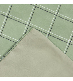 Постельное бельё Этель дуэт Green cage 150х215см-2 шт, 225х240см, 50х70±3 см-2 шт, новосатин