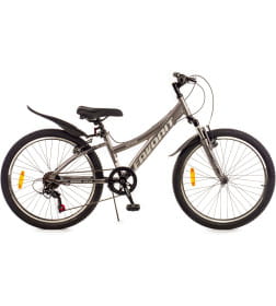 Двухколесный велосипед FAVORIT SPACE-24VA, SPC24V11BK-AL