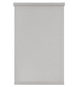 Рулонная штора Lm Decor Шайн LM 42-01,  85*160 см