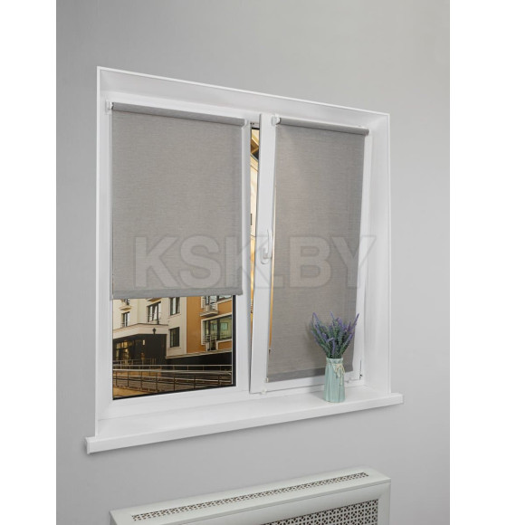 Рулонная штора Lm Decor Шайн LM 42-02,  43*160 см