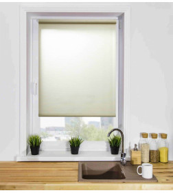 Рулонная штора Lm Decor Камелия LM 49-01, 67*160см 