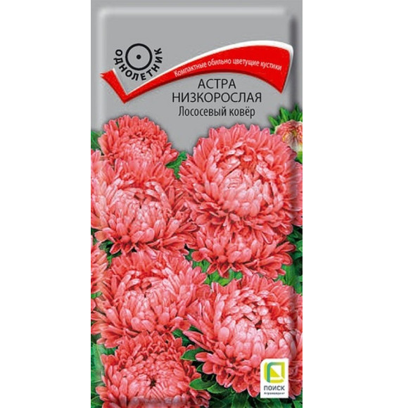 Астра низкорослая Лососевый ковер (ЦВ) 0,2г