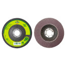 Круг лепестковый 125x22,2 мм P40 DYLLU DTYL2301 (DTYL2301) 