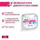 Ветеринарная диета Monge VetSolution Dog Recovery Рекавери для собак при восстановлении питания в период выздоровления, ламистер 1 (70014533) 