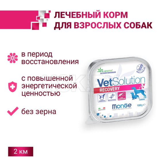 Ветеринарная диета Monge VetSolution Dog Recovery Рекавери для собак при восстановлении питания в период выздоровления, ламистер 1 (70014533) 