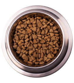 Ветеринарная диета Monge VetSolution Dog Diabetic Диабетик для собак при сахарном диабете 12кг