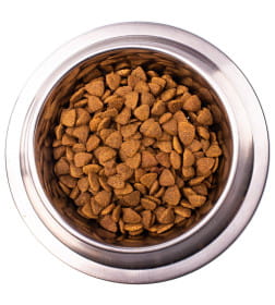 Ветеринарная диета Monge VetSolution Dog Cardiac Кардик для собак при заболеваниях сердца 12кг