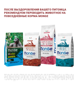 Ветеринарная диета Monge VetSolution Dog Joint Mobility Джоинт Мобилити для собак при заболеваниях суставов 2кг