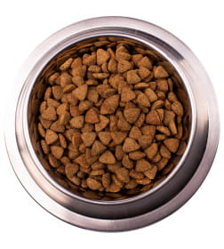 Ветеринарная диета Monge VetSolution Dog Obesity Обесити диета для собак при избыточном весе 12 кг