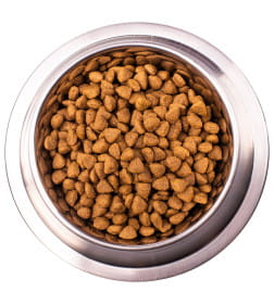 Ветеринарная диета Monge VetSolution Dog Hepatic Гепатик для собак при заболеваниях печени 12кг