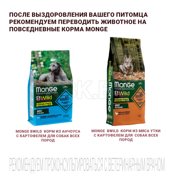 Ветеринарная диета Monge VetSolution Dog Hepatic Гепатик для собак при заболеваниях печени 2кг (70081177) 