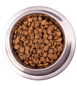 Ветеринарная диета Monge VetSolution Dog Dermatosis Дерматозис для собак при заболеваниях кожи 12кг