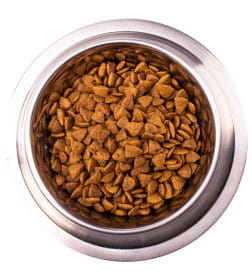 Ветеринарная диета Monge VetSolution Dog Renal Ренал для собак при ХПН 12кг