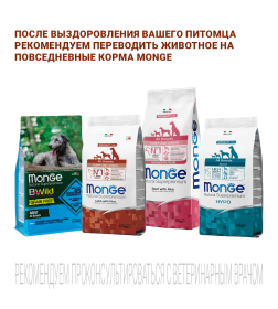 Ветеринарная диета Monge VetSolution Dog Renal Ренал для собак при ХПН 12кг