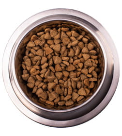 Ветеринарная диета Monge VetSolution Dog Diabetic Диабетик для собак при сахарном диабете 2кг