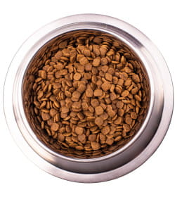 Ветеринарная диета Monge VetSolution Dog Gastrointestinal Гастроинтестинал для щенков 5кг