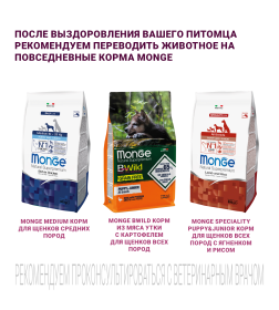 Ветеринарная диета Monge VetSolution Dog Gastrointestinal Гастроинтестинал для щенков 5кг