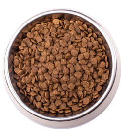 Ветеринарная диета Monge VetSolution Cat Hepatic Гепатик для кошек при заболеваниях печени 1,5кг
