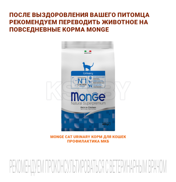 Ветеринарная диета Monge VetSolution Cat Renal Ренал для кошек при ХПН 400гр (70081641) 